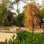 Autumn in Sherbakov park